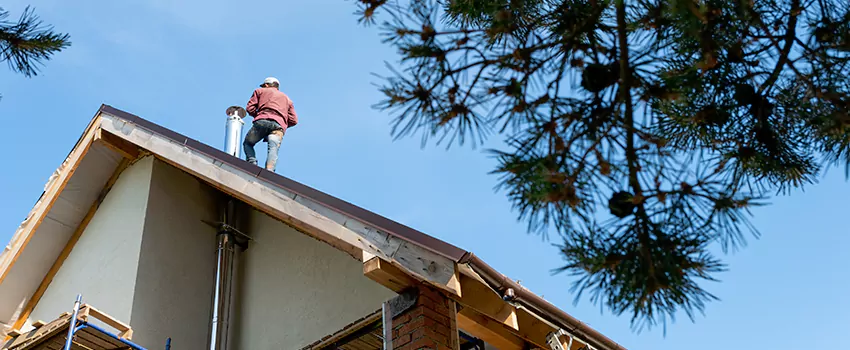 Birds Removal Contractors from Chimney in Stephenville, TX
